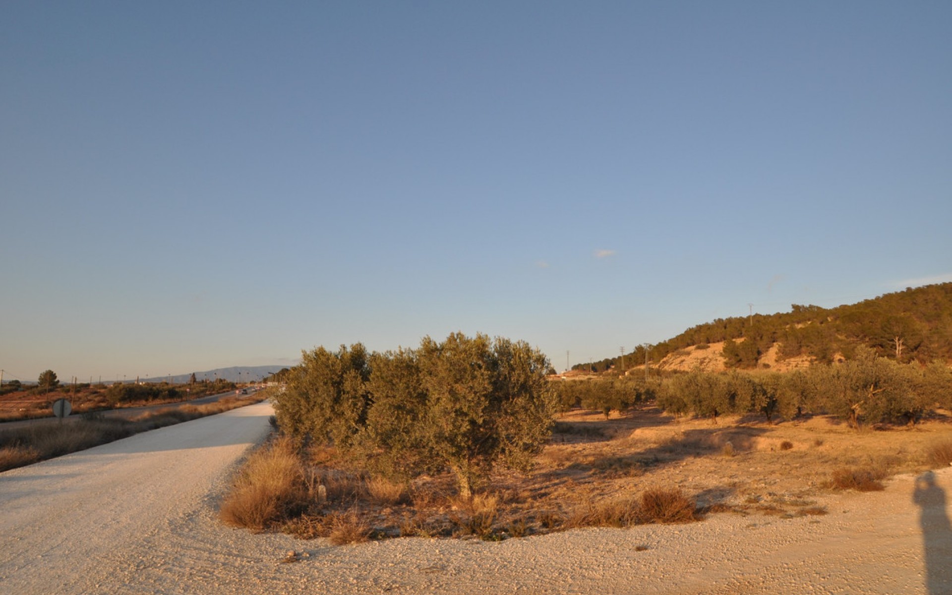 Resale - Land - Pinoso - Pinoso Centro