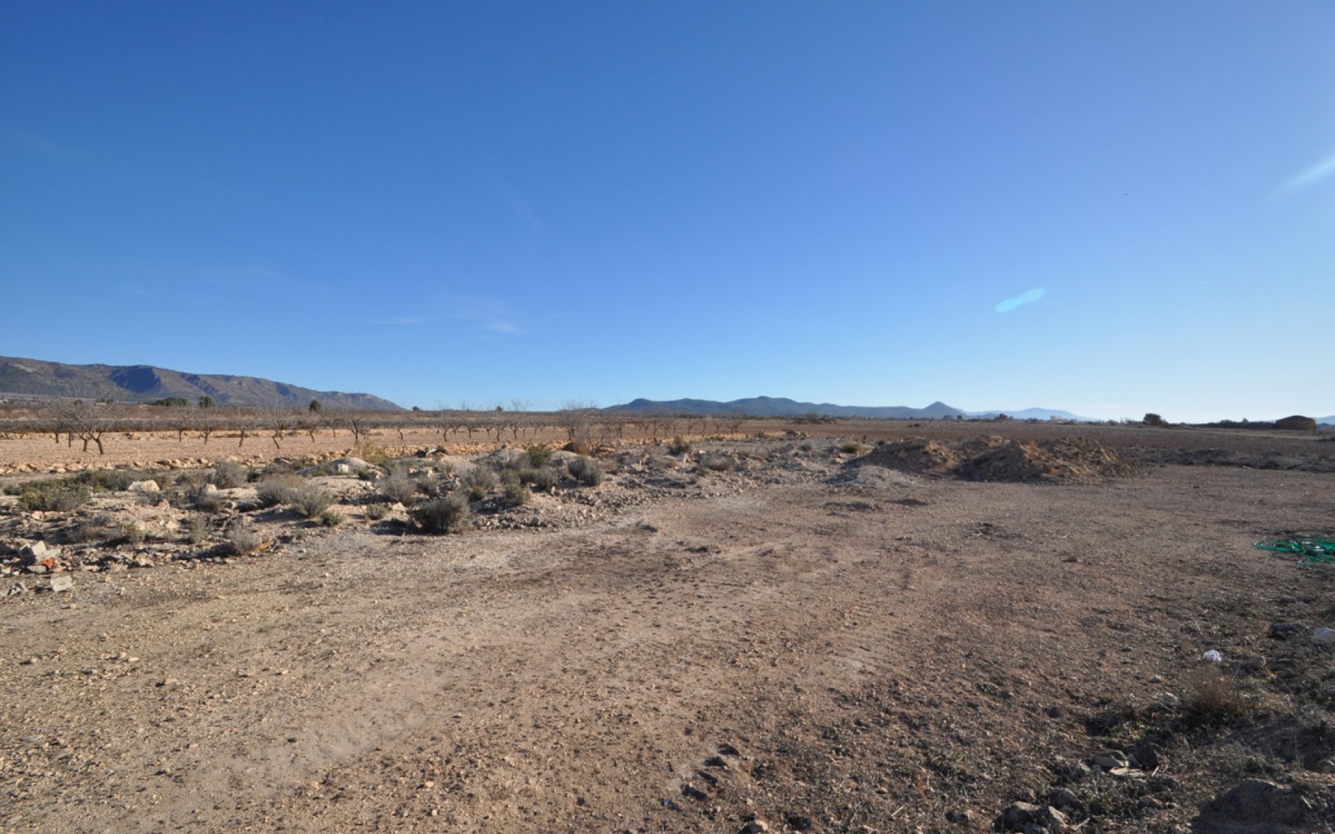 Resale - Land - Pinoso - Pinoso Centro