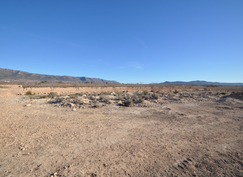 Resale - Land - Pinoso - Pinoso Centro