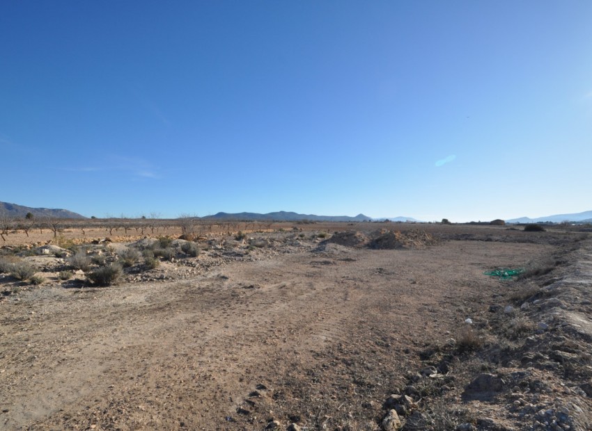 Resale - Land - Pinoso - Pinoso Centro