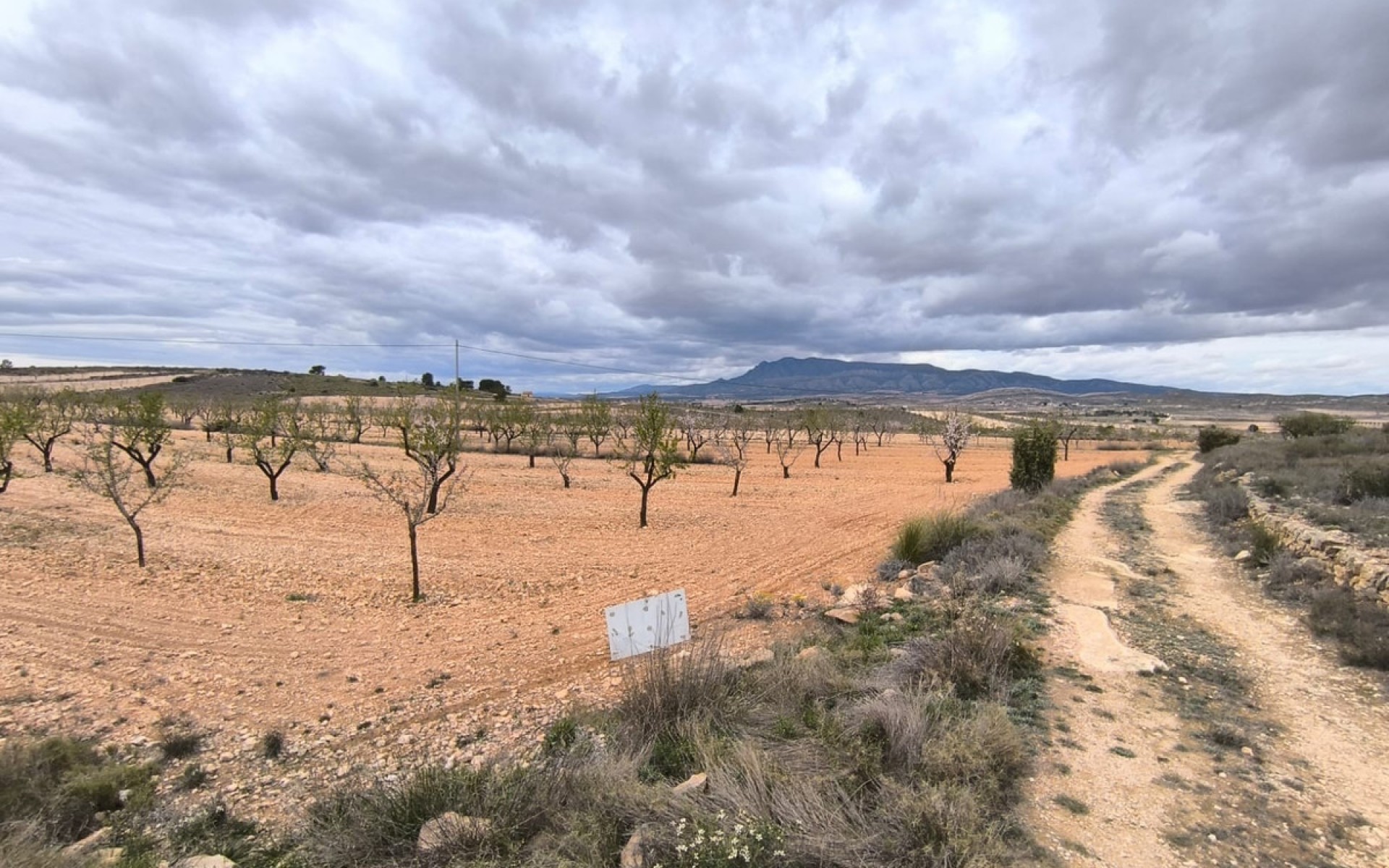 Resale - Land - Pinoso - Pinoso Centro