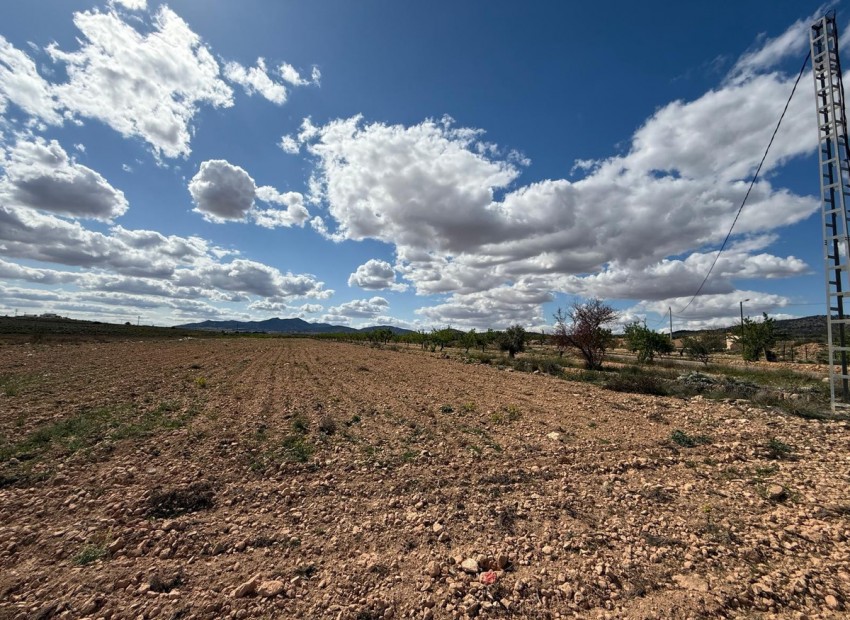 Resale - Land - Pinoso - Pinoso Centro