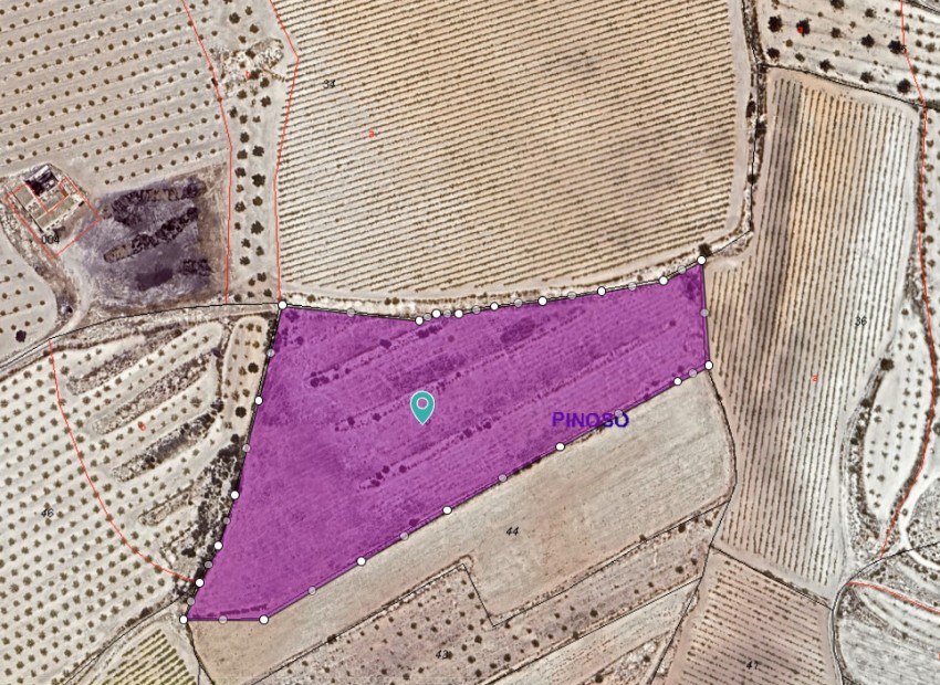 Resale - Land - Pinoso - Pinoso Centro
