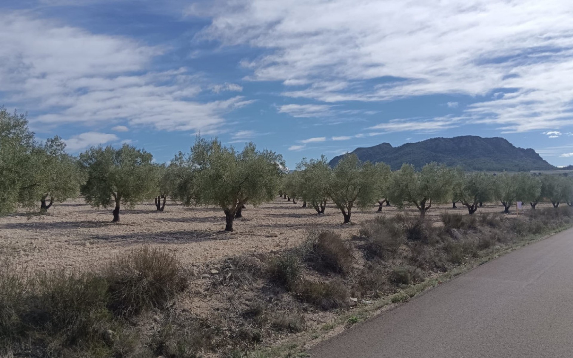 Resale - Land - Salinas - Salinas Centro