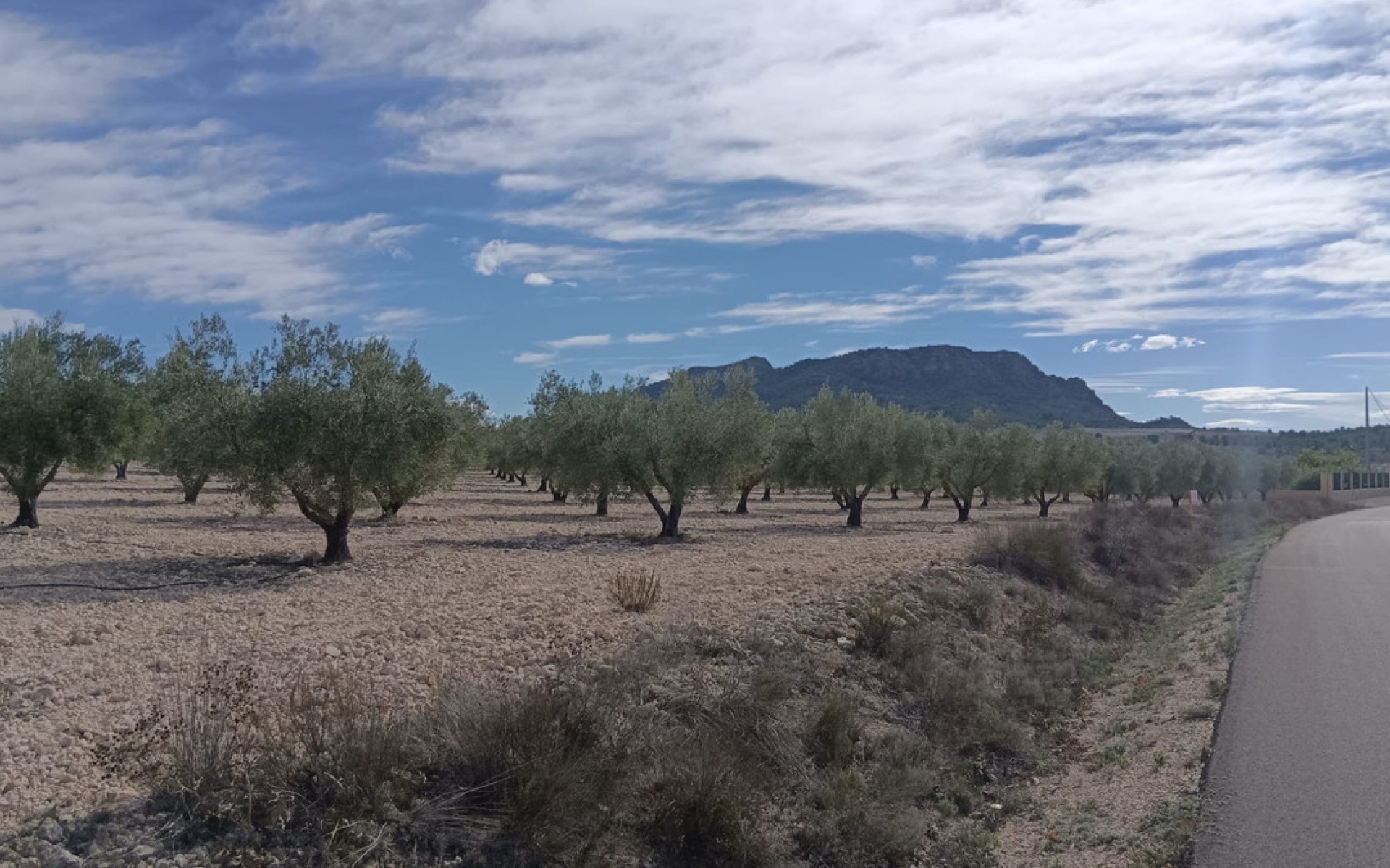 Resale - Land - Salinas - Salinas Centro
