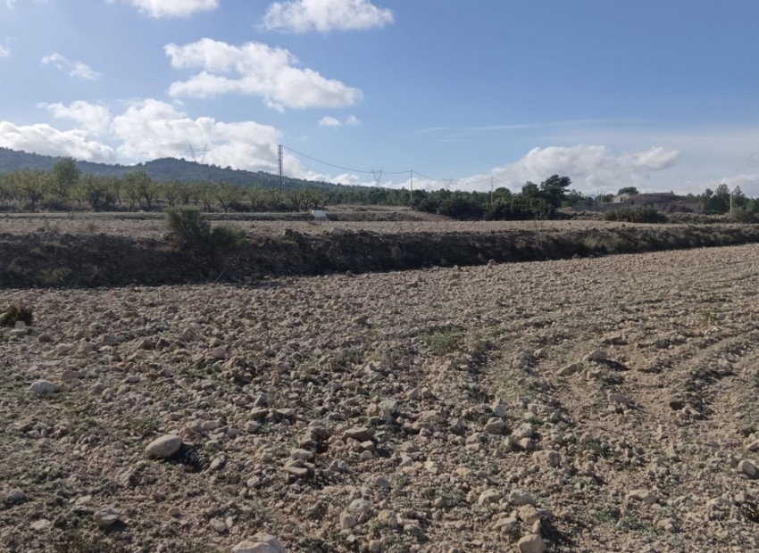 Resale - Land - Salinas - Salinas Centro