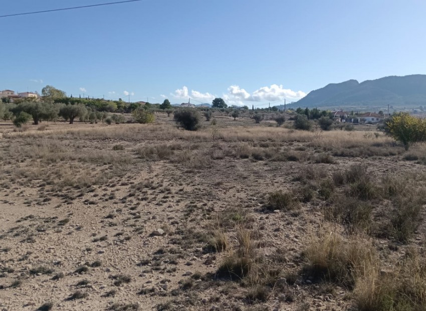 Resale - Land - Salinas - Salinas Centro