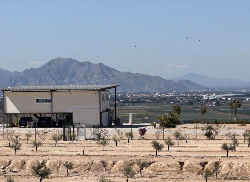 Resale - Land - San Fulgencio - La Marina