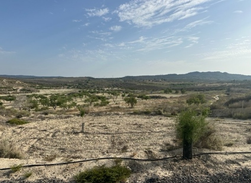 Resale - Land - Torremendo