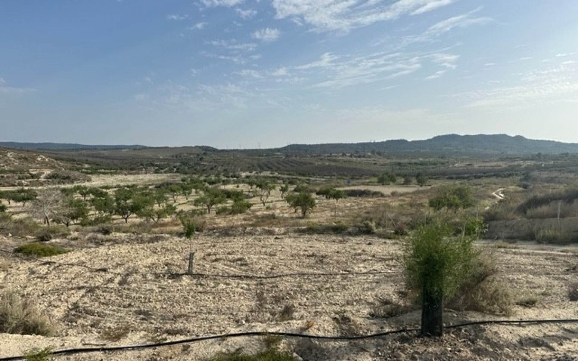 Resale - Land - Torremendo