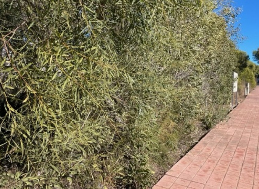 Resale - Land - Villajoyosa - La Cala