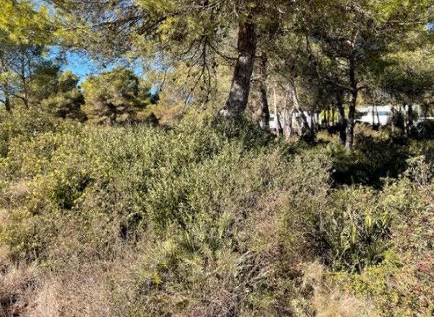 Resale - Land - Villajoyosa - La Cala