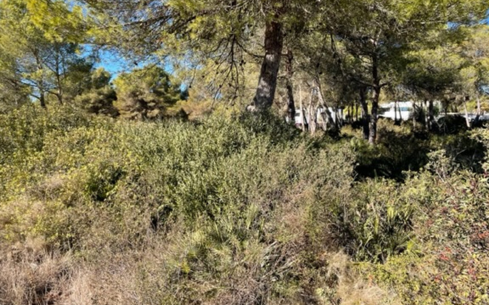 Resale - Land - Villajoyosa - La Cala