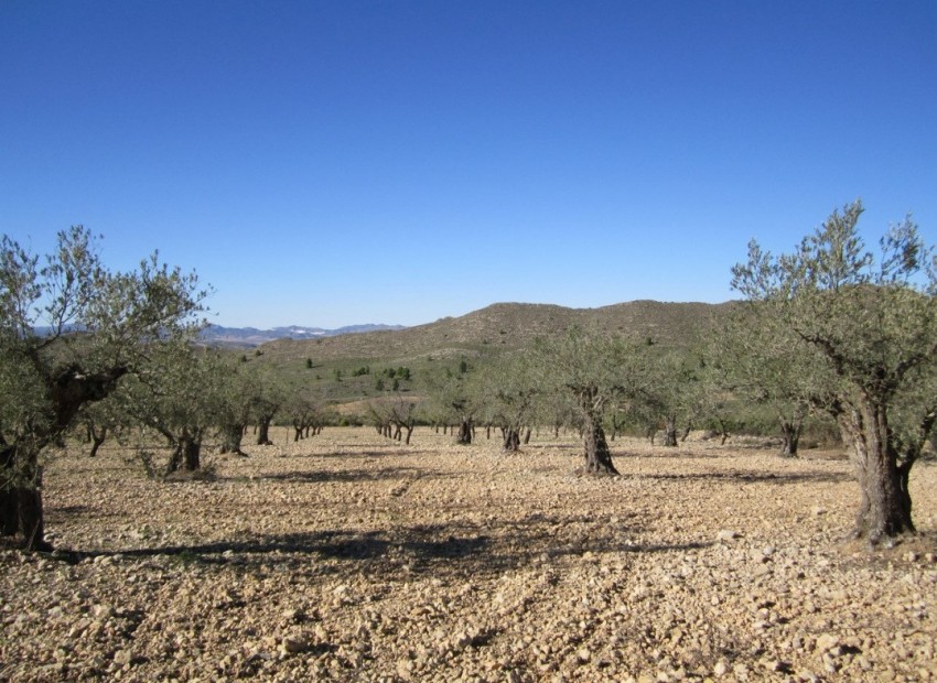 Resale - Land - Villena - Villena Centro