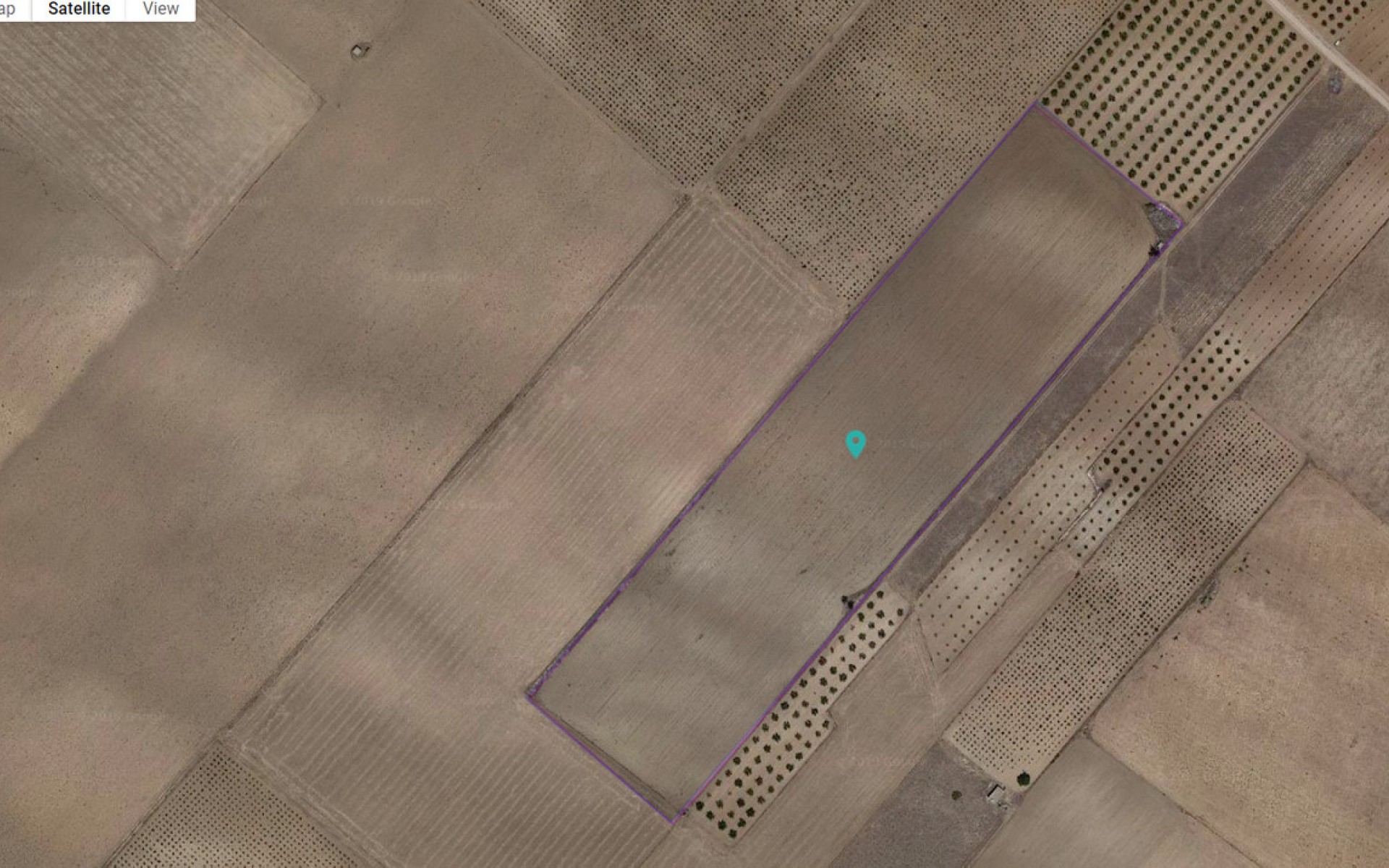 Resale - Land - Yecla - Yecla Centro