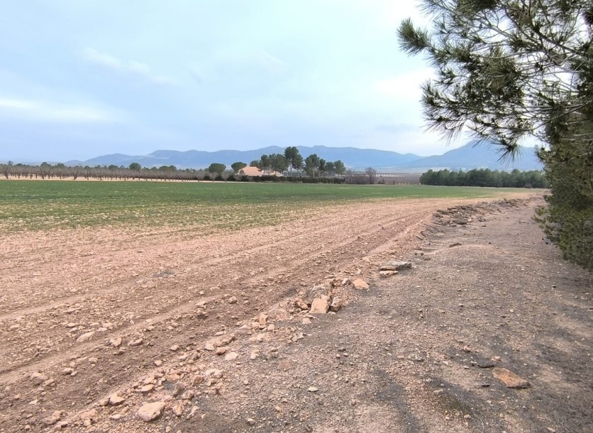 Resale - Land - Yecla - Yecla Centro