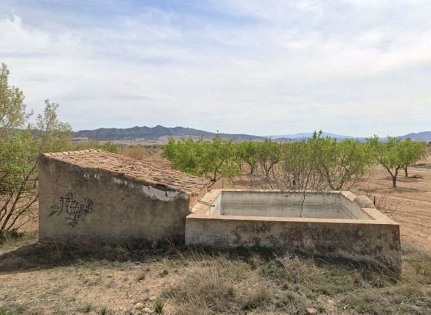 Resale - Land - Yecla - Yecla Centro