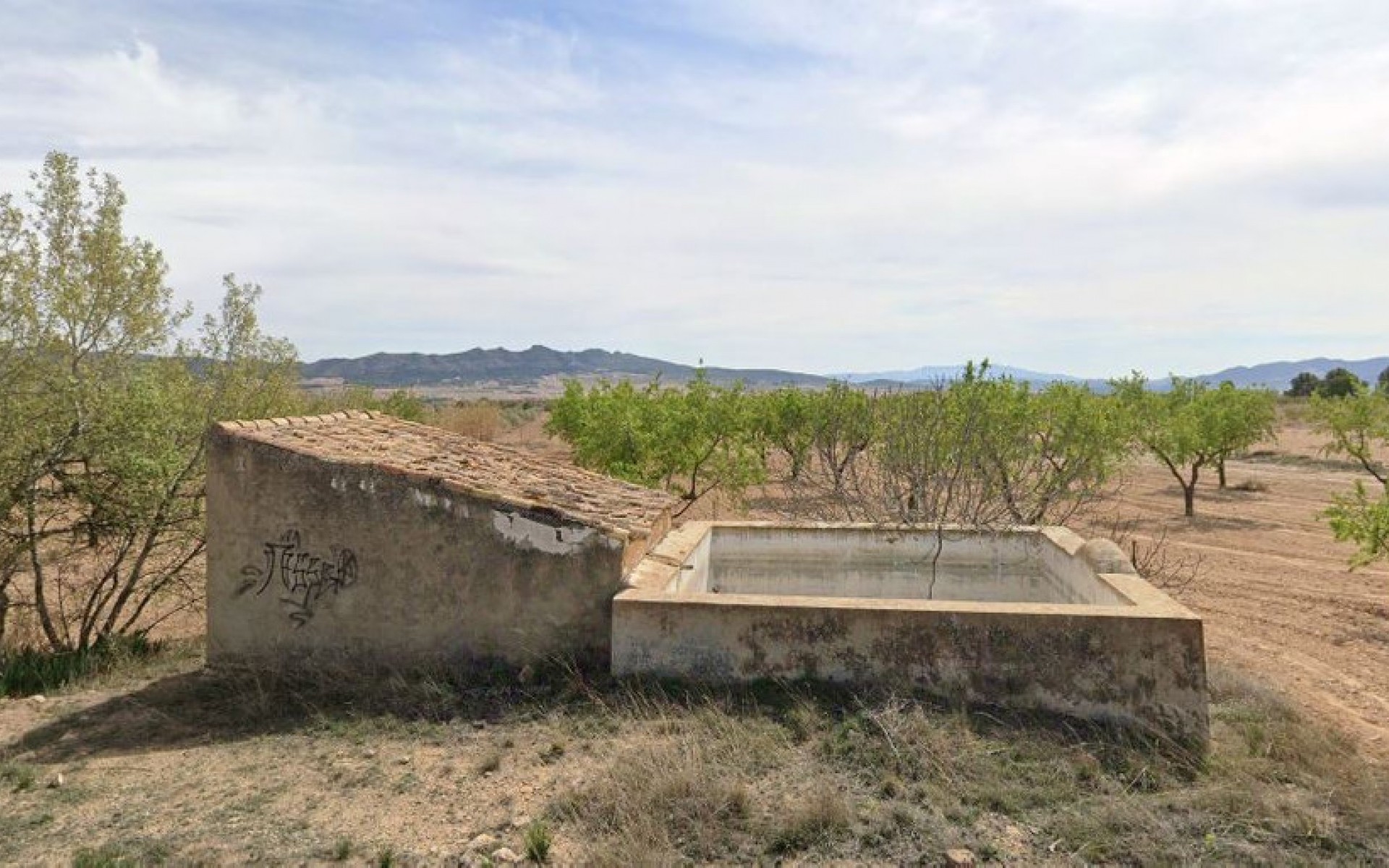 Resale - Land - Yecla - Yecla Centro