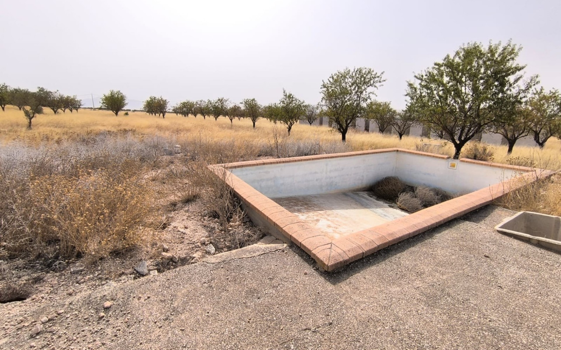 Resale - Land - Yecla - Yecla Centro