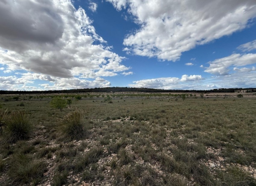 Resale - Land - Yecla - Yecla Centro