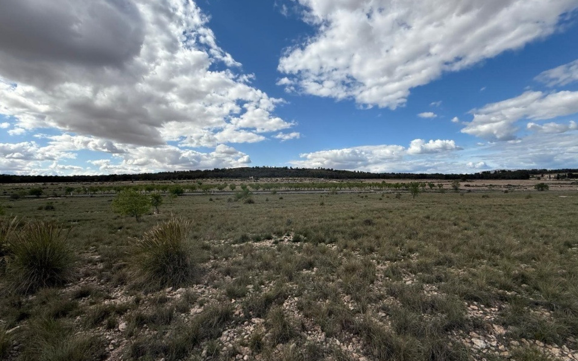 Resale - Land - Yecla - Yecla Centro