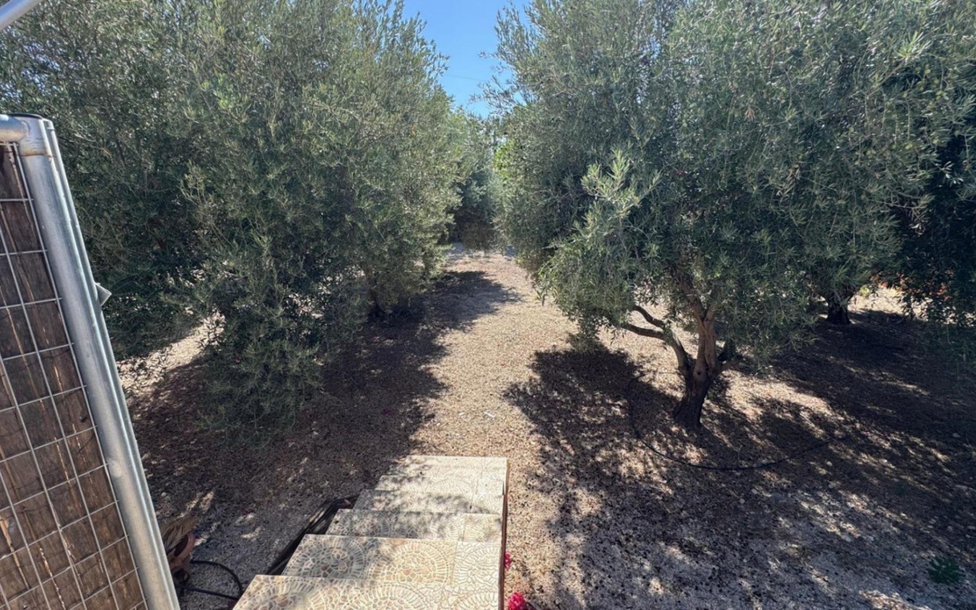 Resale - Landhuis - Albatera - 