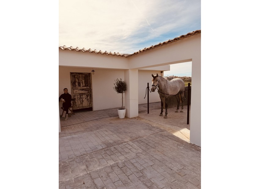 Resale - Landhuis - Algorfa - Algorfa Centro