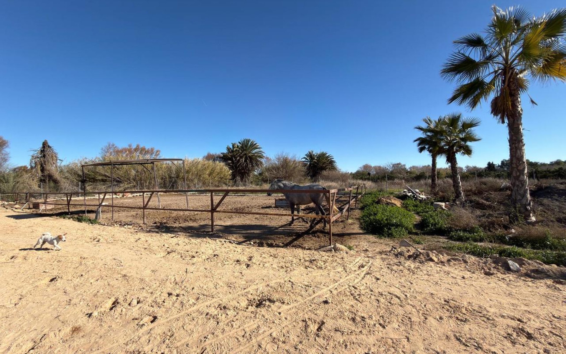 Resale - Landhuis - Algorfa - Algorfa Centro