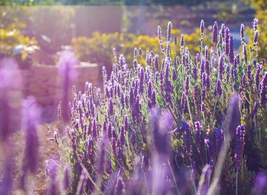 Resale - Landhuis - BenIssa - Benissa Centro