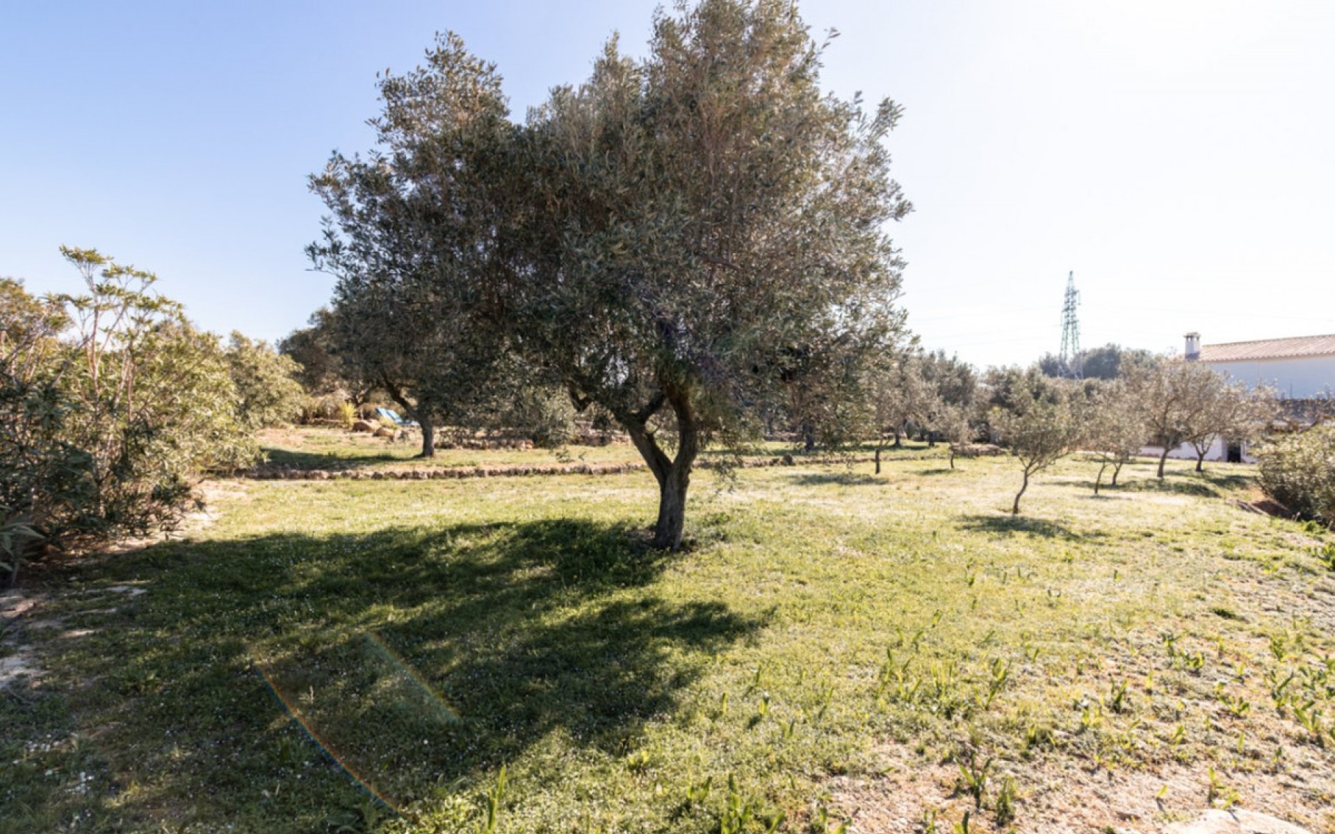 Resale - Landhuis - BenIssa - Canor