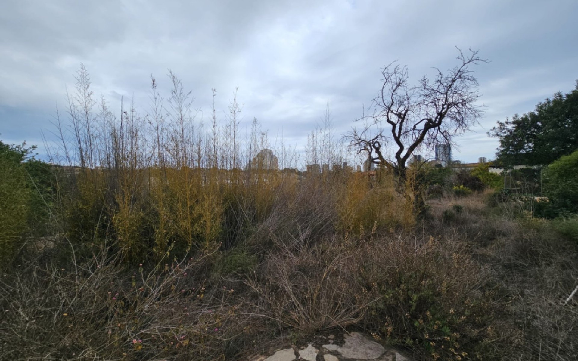Resale - Landhuis - Calpe - Calpe Centro