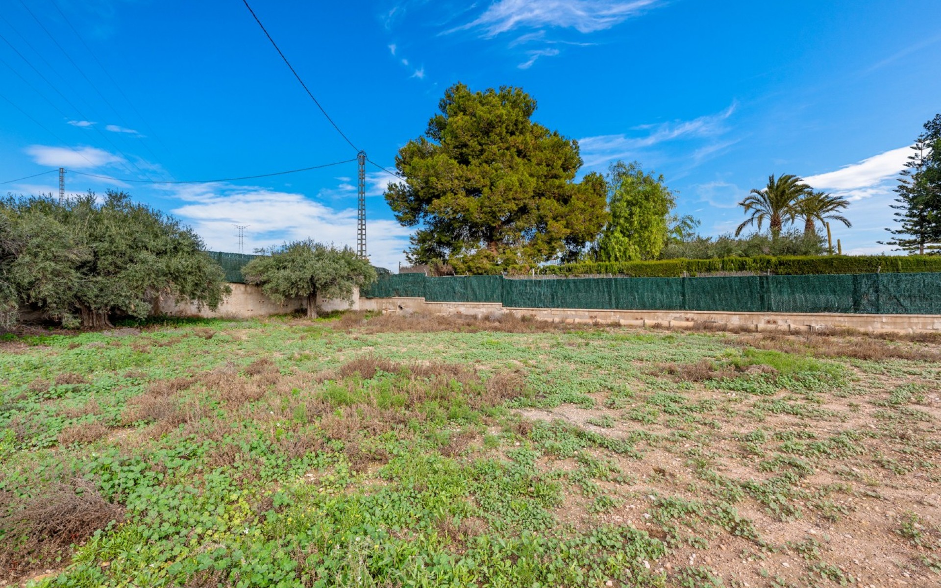 Resale - Landhuis - Elche