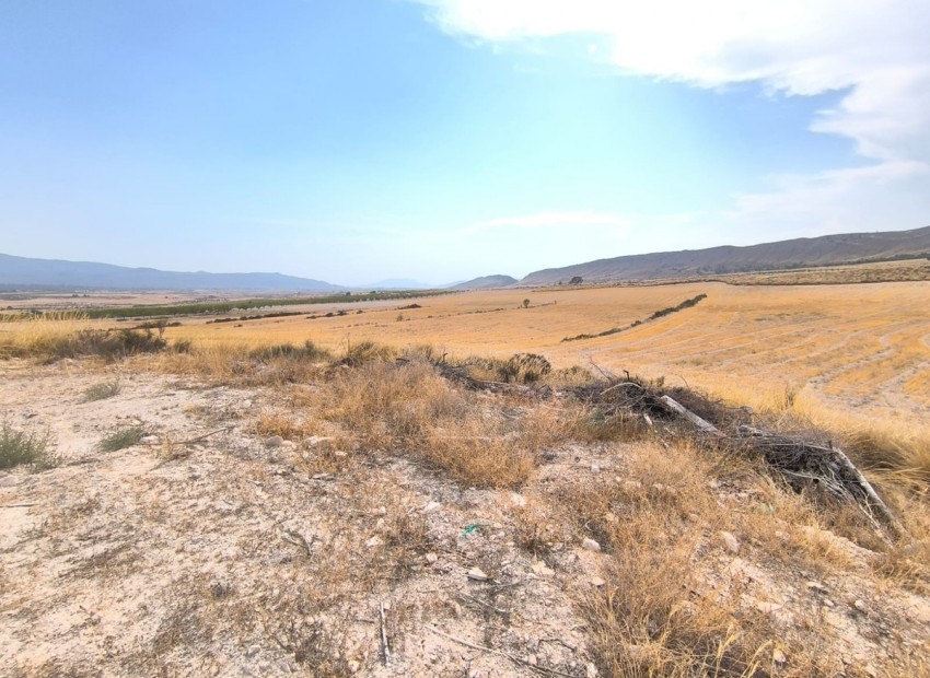 Resale - Landhuis - Jumilla - Jumilla Centro