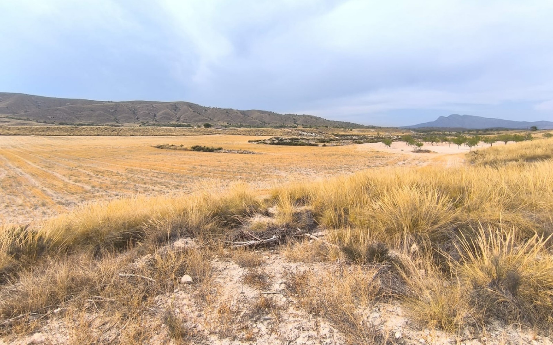 Resale - Landhuis - Jumilla - Jumilla Centro