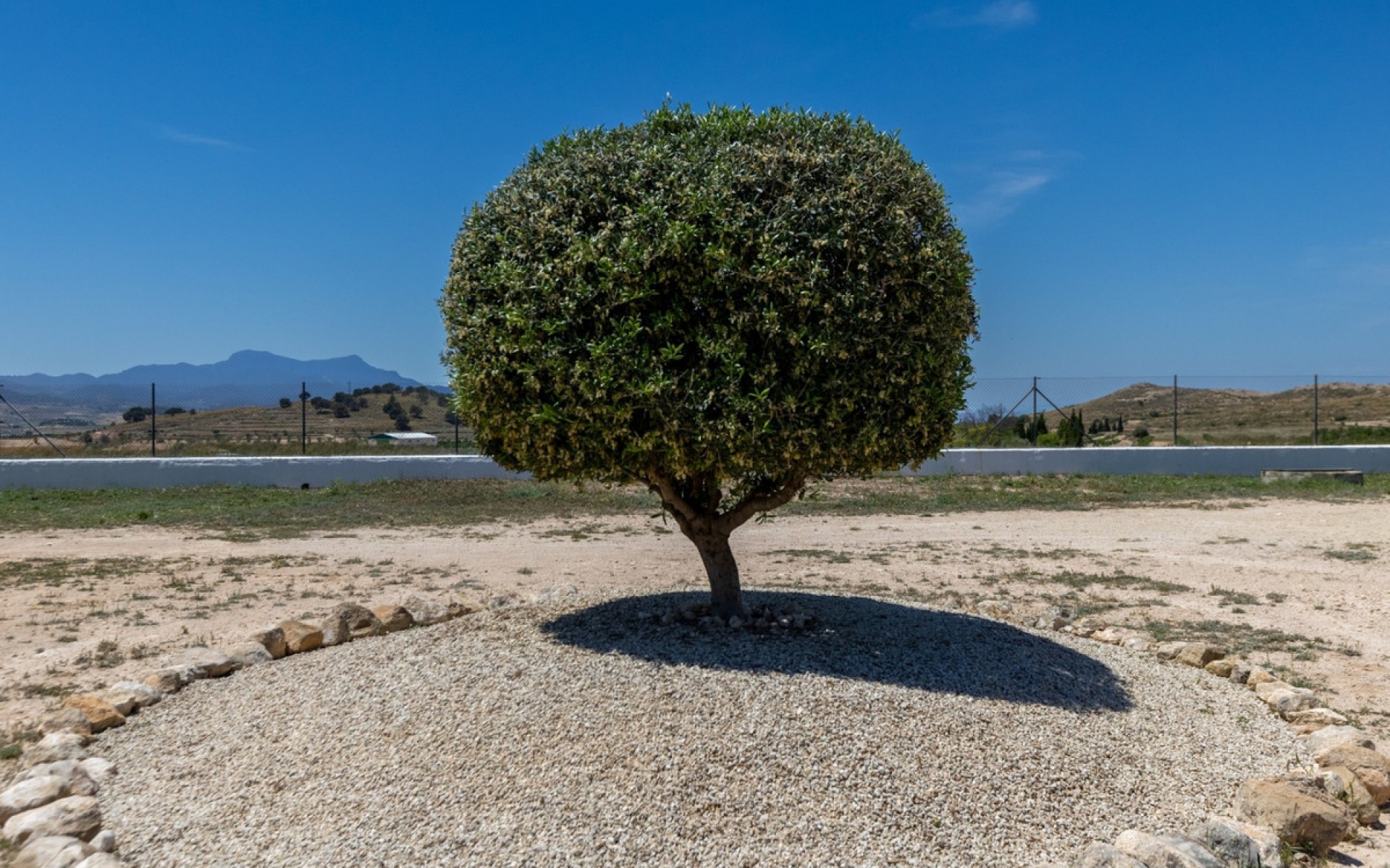 Resale - Landhuis - Jumilla - Torre del Rico