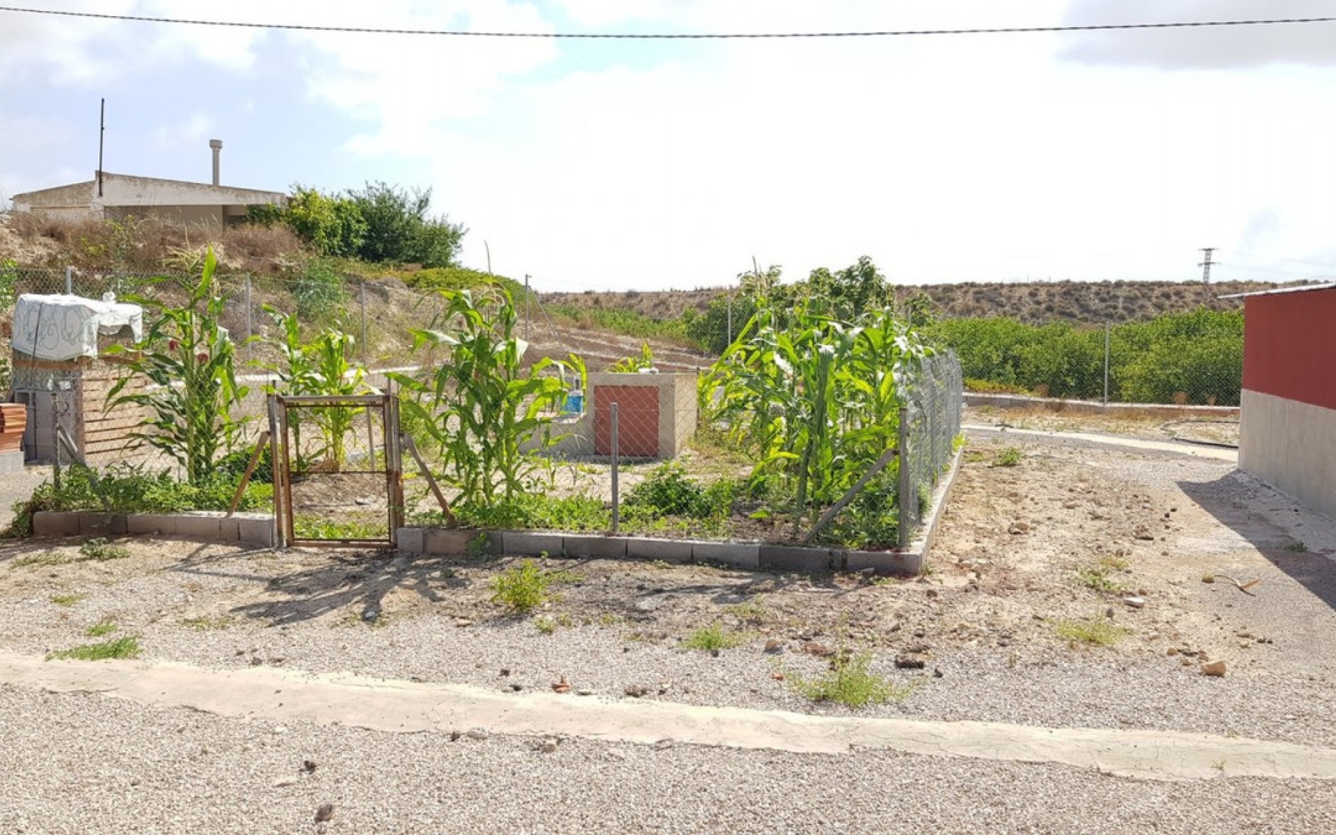 Resale - Landhuis - Los Montesinos - Los Montesinos Centro