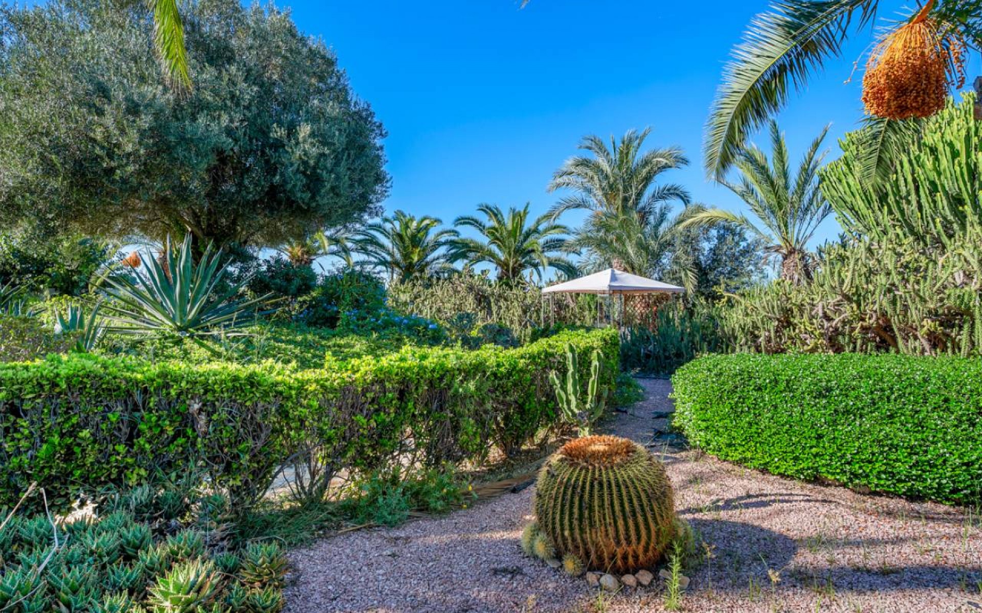 Resale - Landhuis - Los Montesinos