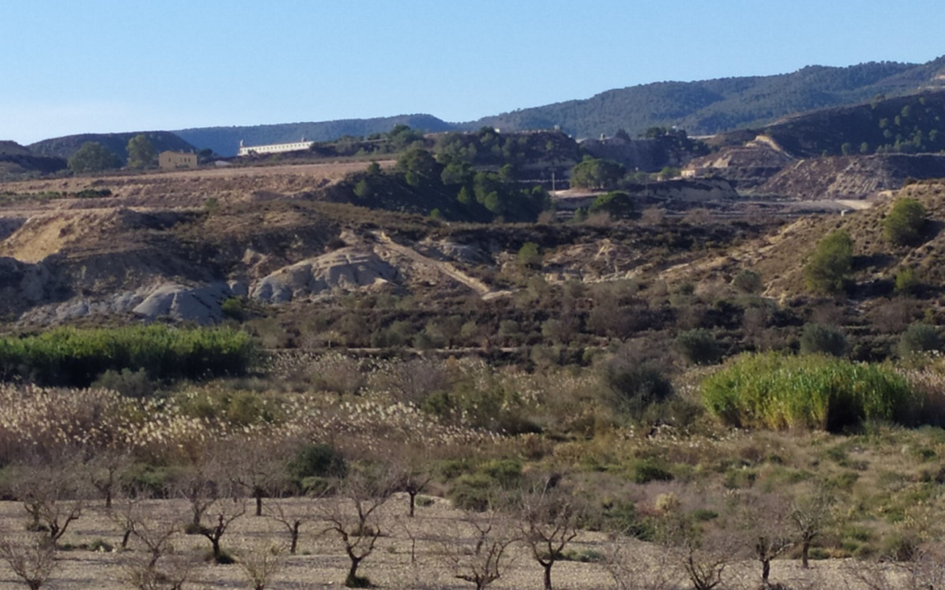 Resale - Landhuis - Orihuela - Orihuela Centro