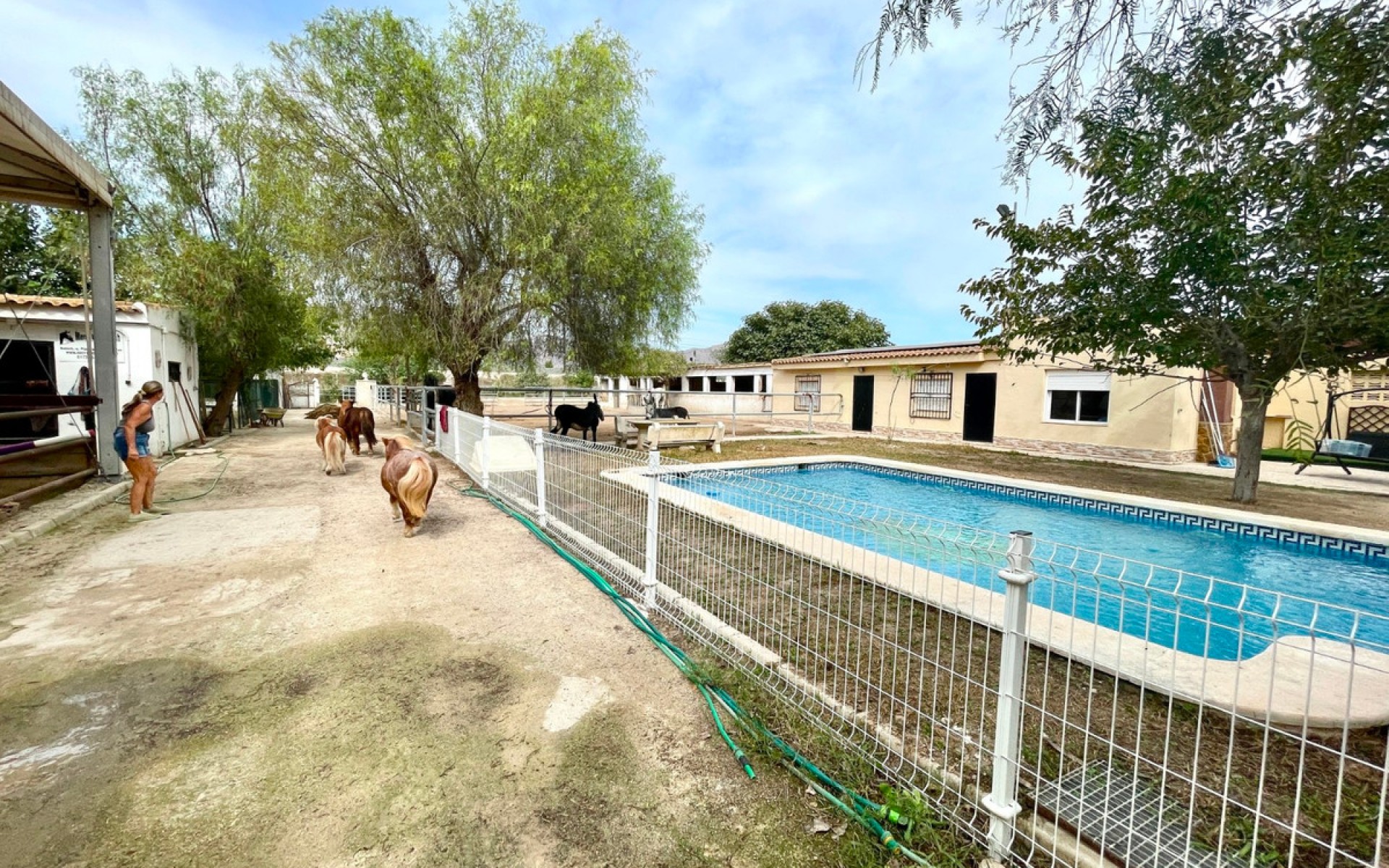 Resale - Landhuis - Orihuela - Orihuela Centro