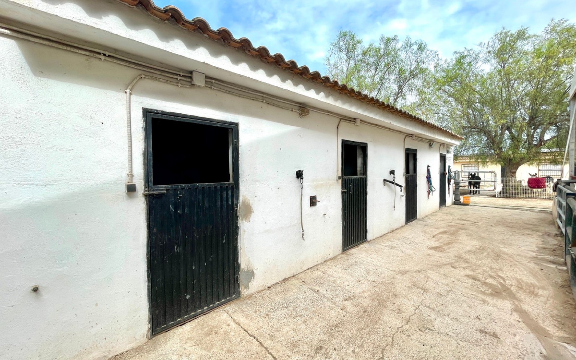 Resale - Landhuis - Orihuela - Orihuela Centro