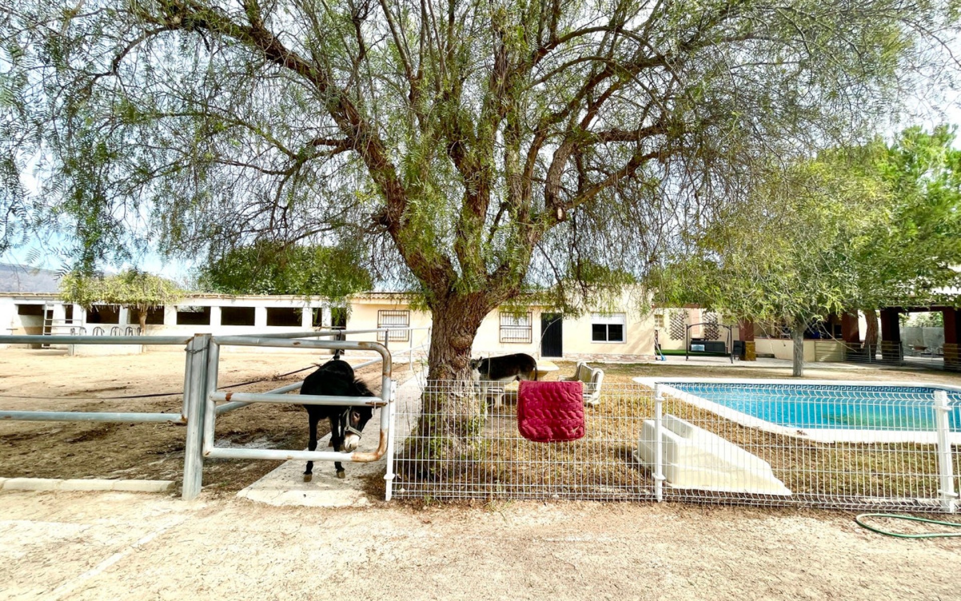 Resale - Landhuis - Orihuela - Orihuela Centro