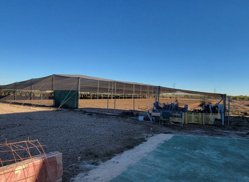 Resale - Landhuis - San Miguel De Salinas - San Miguel de Salinas Centro