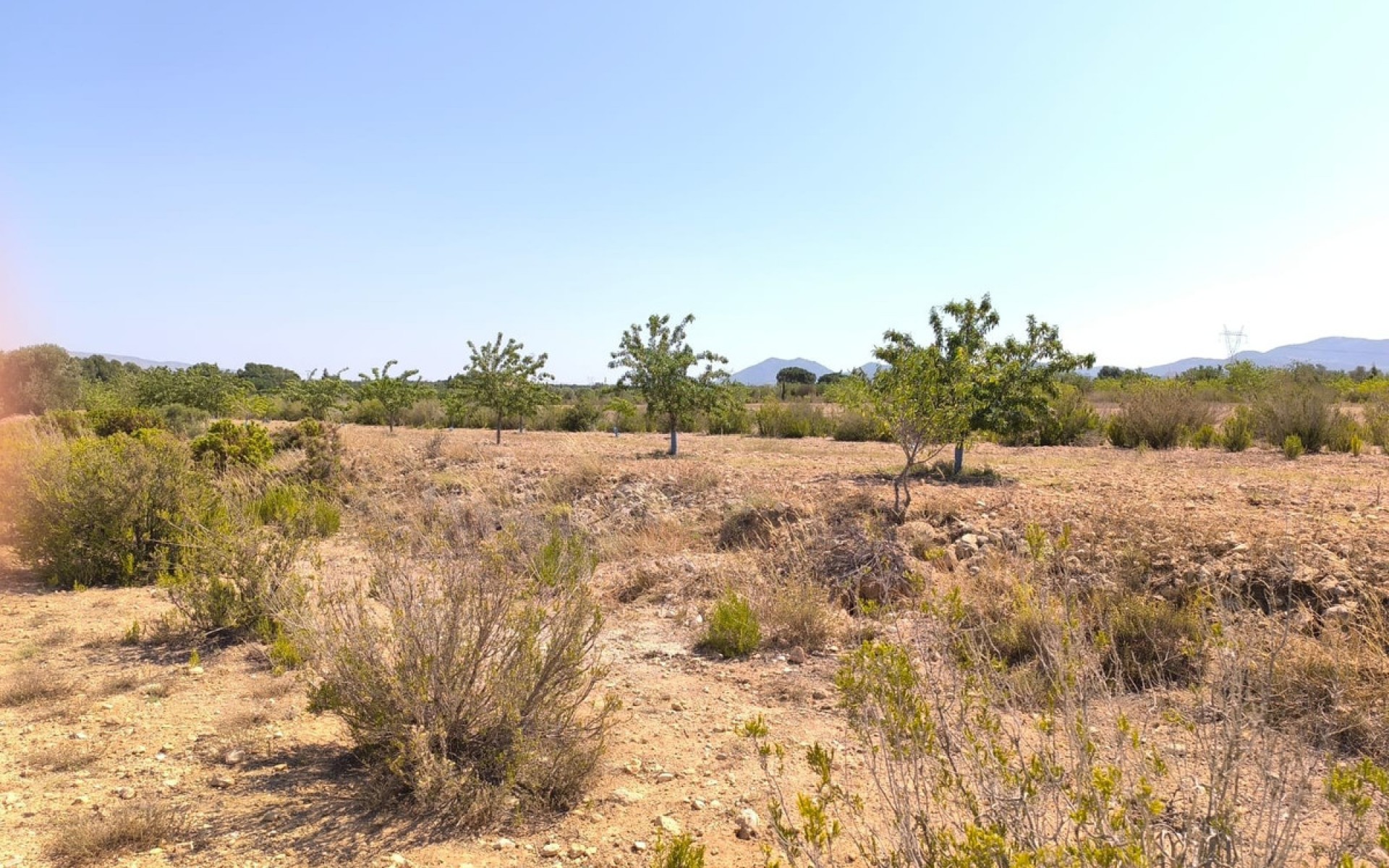 Resale - Landhuis - Villena - Villena Centro