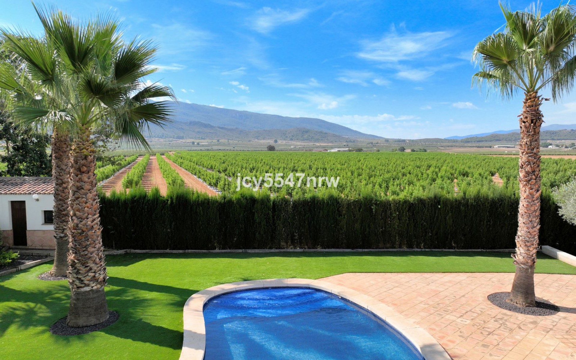 Resale - Landhuis - Yecla - Yecla Centro