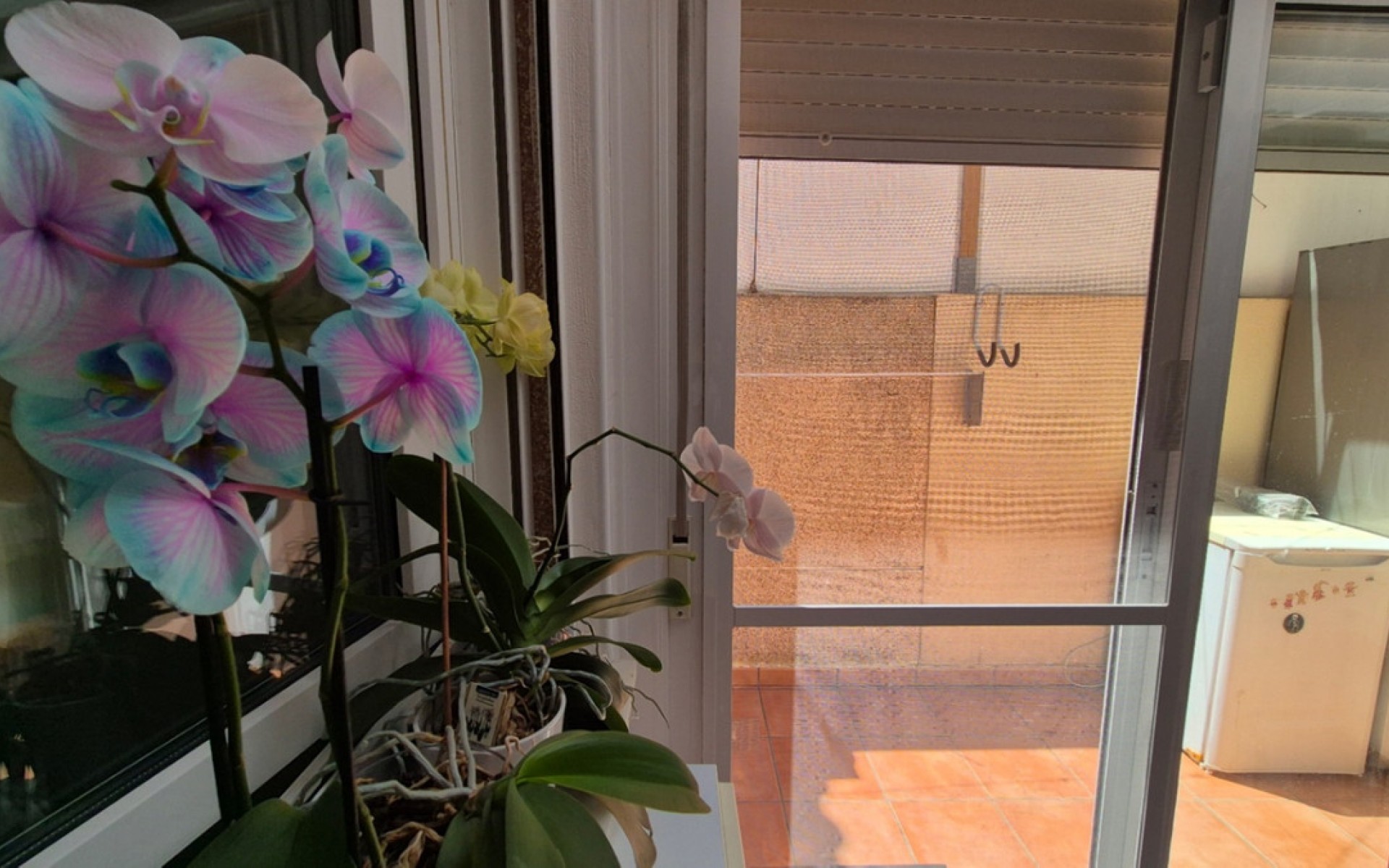 Resale - Rijtjes huis - Torrevieja - Torrevieja Centro