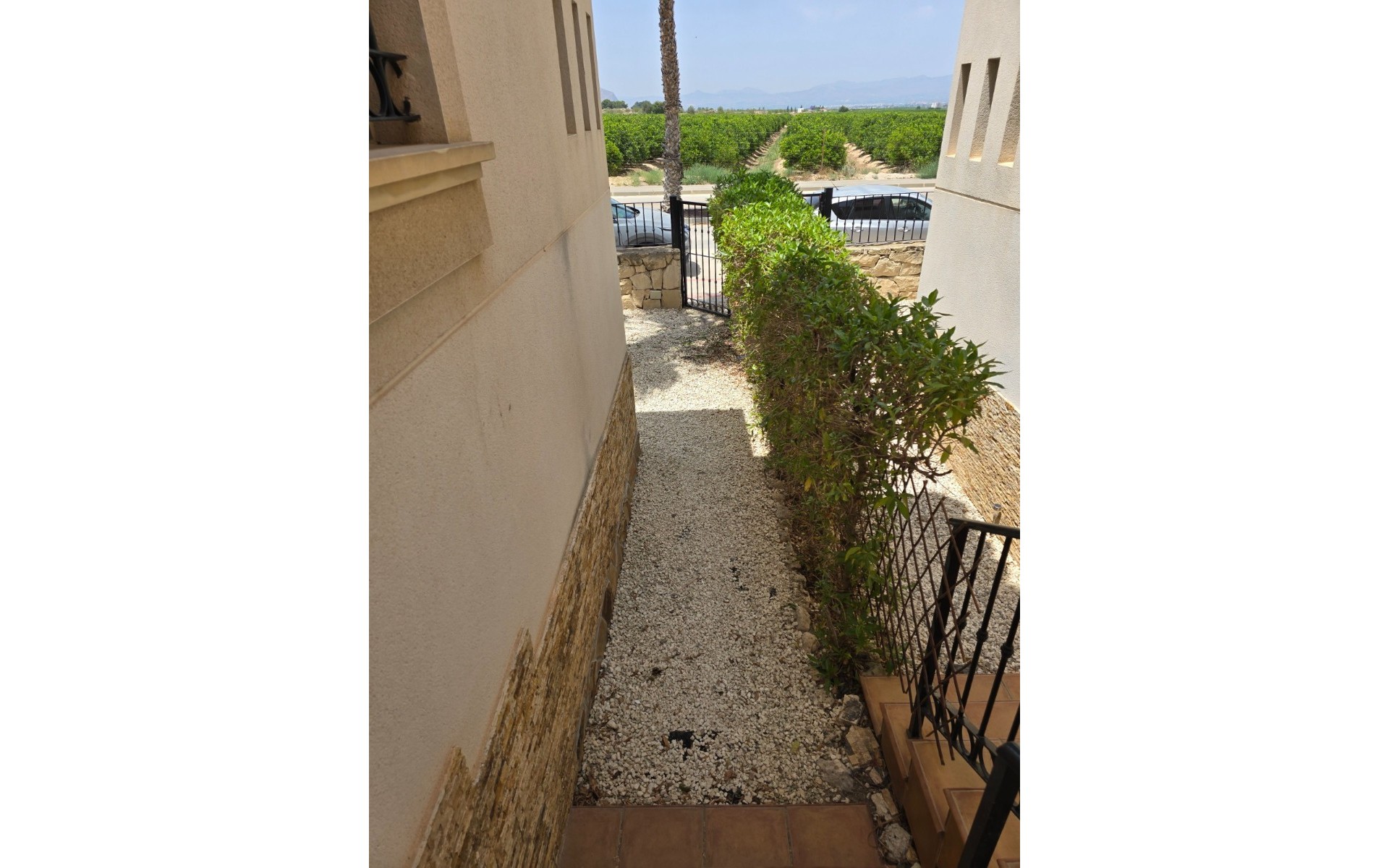 Resale - Townhouse - Algorfa - La Finca Golf