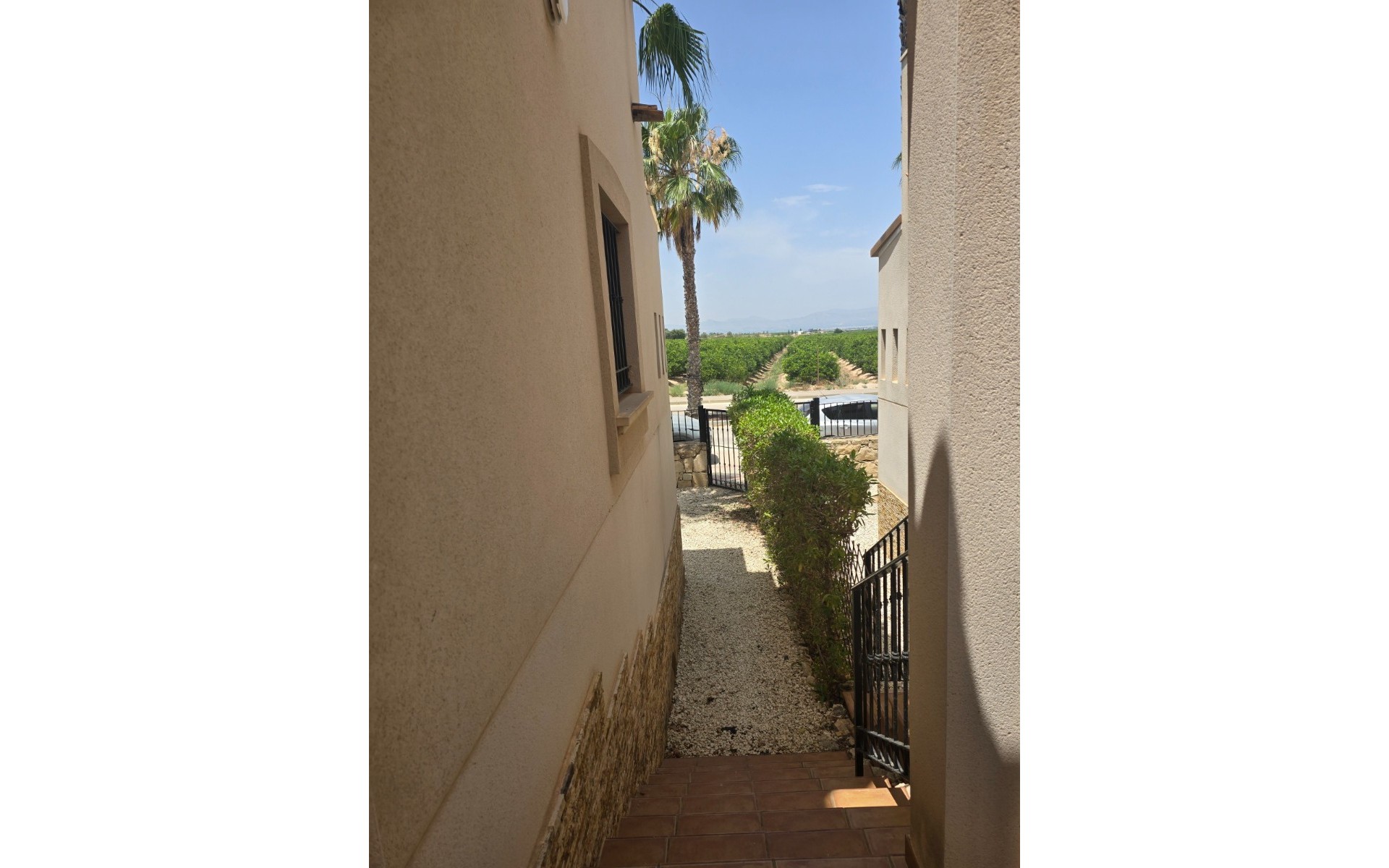 Resale - Townhouse - Algorfa - La Finca Golf