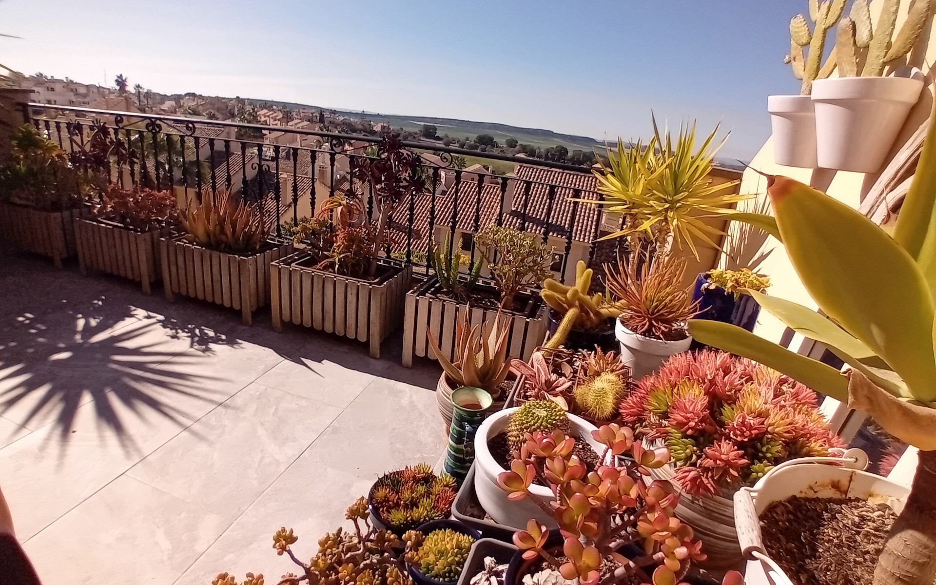 Resale - Townhouse - Algorfa - La Finca Golf