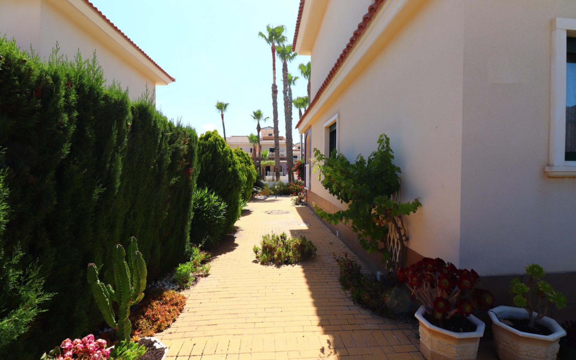 Resale - Townhouse - Ciudad Quesada - Doña Pepa