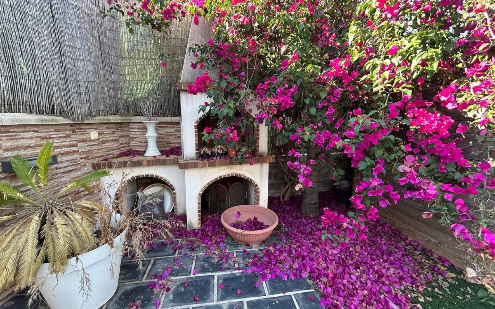 Resale - Townhouse - Mil Palmeras